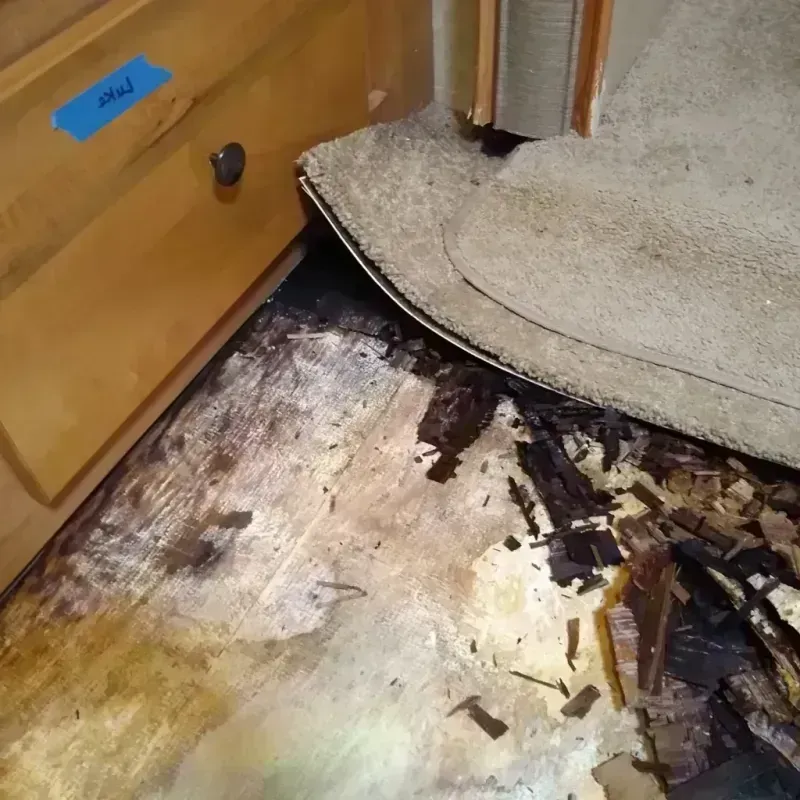 Wood Floor Water Damage in Marquette County, MI